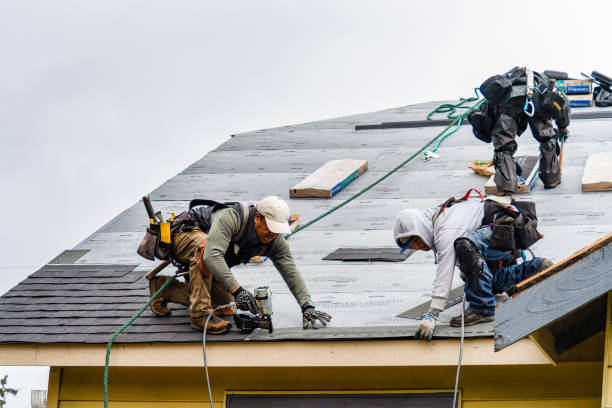 Professional Emergency Roof Repair technician working in Durand, IL
